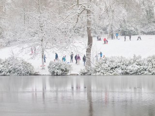 Wall Mural - Park in Snow