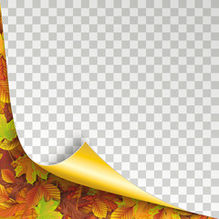 Wall Mural - autumn foliage scrolled corner golden paper cover transparent