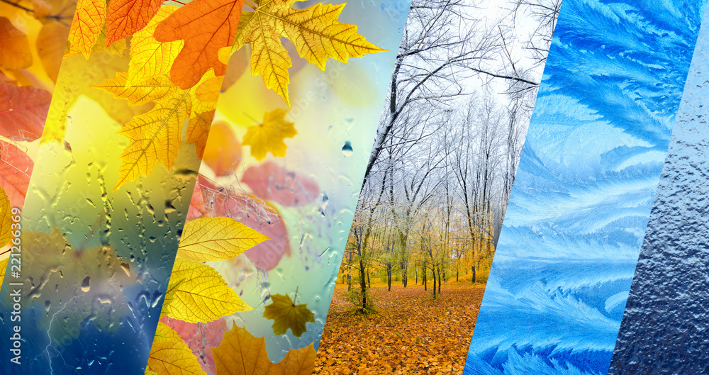 Fall and winter, weather forecast concept - obrazy, fototapety, plakaty 