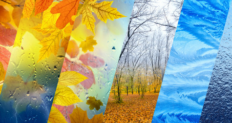 fall and winter, weather forecast concept