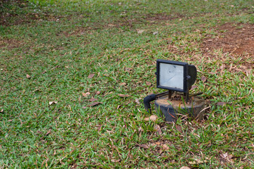 Spot light in the garden