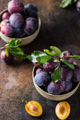 Wall Mural - Garden plums on table. Close up of fresh plums with leaves. Autumn harvest of plums.