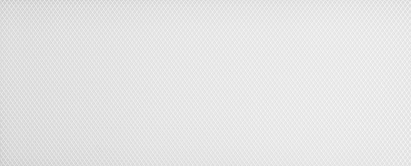 Horizontal plastic grid white background. Whte background