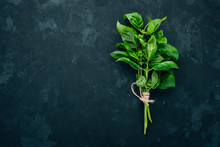Fresh Green Basil. Top View. On The Background. Free Space For Text.