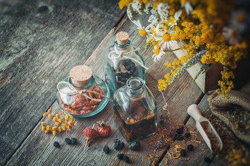 Wall Mural - bottles of tincture, berries and dry healthy herbs, herbal medicine.