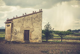 Fototapeta Na sufit - Traditional dovecote in Zamora, buildings made of adobe, mud brick and straw (Spain)