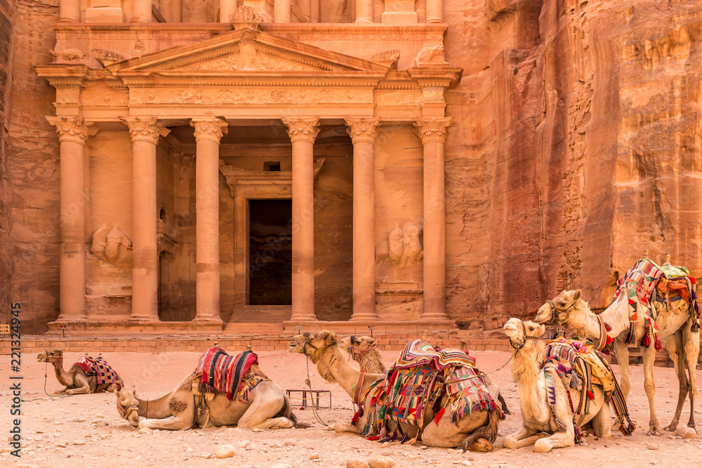 Camels resting near the ancient temple in Petra, Jordan - obrazy, fototapety, plakaty 