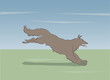 dog running, color, vector