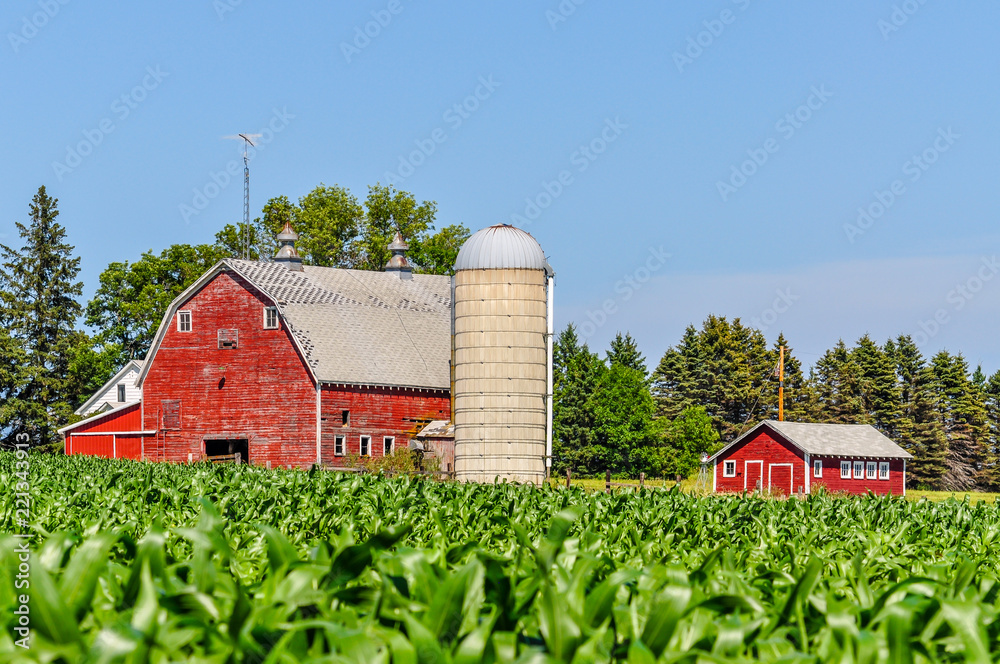 A Minnesota Farm From a Corn Field Stock Photo | Adobe Stock