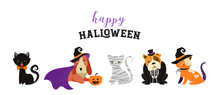 6306896 Happy Halloween - Cats And Dogs In Monsters Costumes, Halloween Party. Vector Illustration, Banner, Elements Set