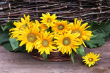 Fototapeta  - Rustic still life. Sunflowers in a basket