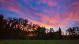 Fototapeta Na ścianę - After sunset colorful sky over forest and meadow