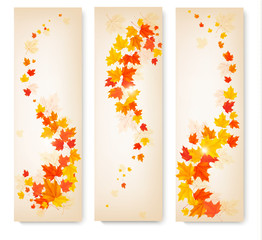 Poster - Three autumn banners with colorful leaves Vector