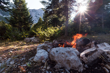 photo of campfire at forest