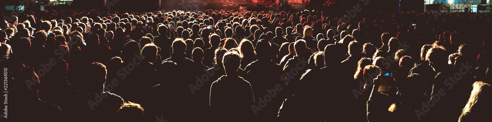 Panoramic view of the crowd in a concert - obrazy, fototapety, plakaty 