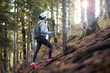 © Novak - Active female hiker walking and exploring forest
