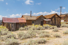 A Field Of Sagebrush In The High Desert Of Bodie Ghost Town