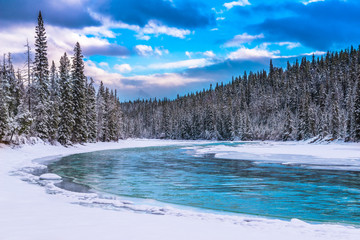 Wall Mural - Winter landscape with river and trees