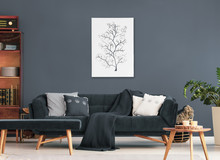 Wooden Table And Bench In Front Of Sofa With Pillows In Dark Flat Interior With Poster And Plant. Real Photo
