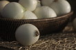 © Вика Рыжик - eggs in nest