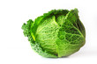 Savoy cabbage (Brassica oleracea L. convar, capitata var., Sabauda), isolated on white background. Slows the growth of malignant tumors. Add to your diet. Selective focus, copy space.
