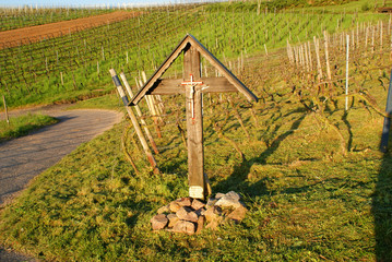 Wall Mural - vineyard