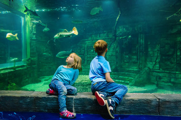 Wall Mural - kids-boy and girl- watching fishes in aquarium