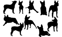 Boston Terrier Dog Svg Files Cricut,  Silhouette Clip Art, Vector Illustration Eps, Black  Overlay
