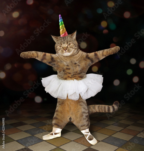 Fototapeten Karneval The cat ballet dancer is wearing a rainbow horn, pointe shoes and a skirt . 100x100cm