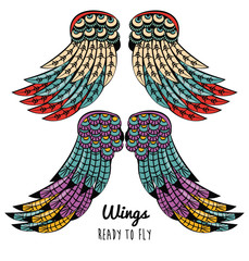 Canvas Print - Set of colorful wings drawings