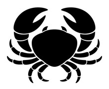 Black Crab On A White Background