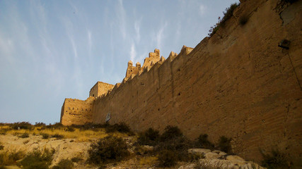 Wall Mural - Muro vestigio