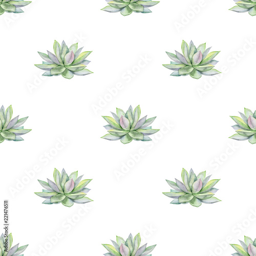 Watercolor succulents seamless pattern, echeveria illustration, botanical pai...