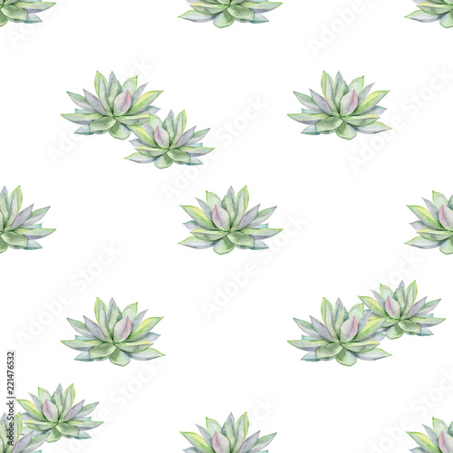 Watercolor succulents seamless pattern, echeveria illustration, botanical pai...