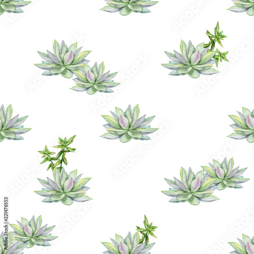 Watercolor succulents seamless pattern, echeveria illustration, botanical pai...