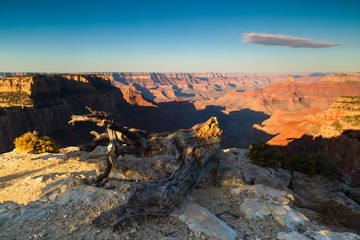 Poster - A beautiful scenic view of Grand Canyon National park, North Rim