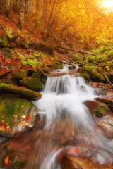 Wall Mural - beautiful waterfall in forest