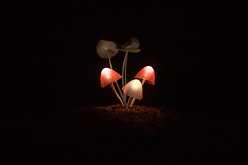 Three fantasy glowing mushrooms in mystery dark forest close-up. Beautiful macro shot of magic mushroom or three souls lost in avatar forest. Fairy lights on background with fog.