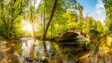 Poster - Old bridge over a creek in the forest with bright sun shining throug the trees