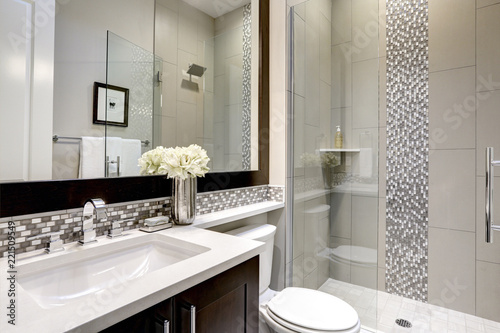 Bathroom Modern Interior With Dark Hardwood Cabinets And Large