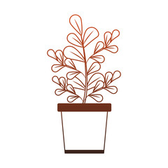 Poster - Plant in pot isolated orange lines