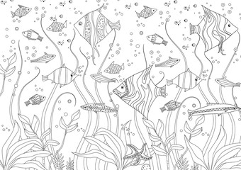 Wall Mural - decorative fishes and seaweed for your coloring book