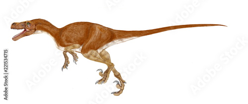 ドロマエオサウルス 走るトカゲ の2パターンと組み合わせ画像 イラスト の原画は06年に個別に描き のちにpart1とpart2を重ねて2体の画像に構成した 1 8メートルのラプトルである Adobe Stock でこのストックイラストを購入して 類似のイラストをさらに検索