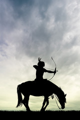 Wall Mural - Indian man on horse