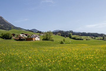 Poster - Tirol, Austria 