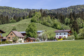 Poster - Tirol, Austria 