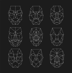 Poster - Scanning grid, identification of person. Set of polygonal grids recognizing a human face.