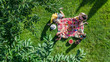 © Iuliia Sokolovska - Happy family having picnic in park, parents with kids sitting on grass and eating healthy meals outdoors, aerial drone view from above, family vacation and weekend concept