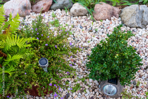 A Small Rockery In Front Of The House With Plants Decorative