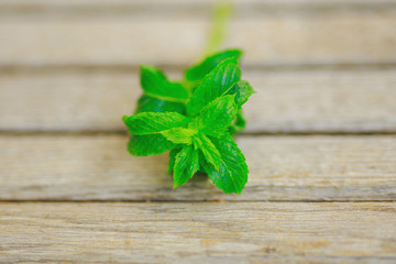 fresh mint on the table